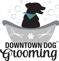 dog grooming in Downtown Dover 