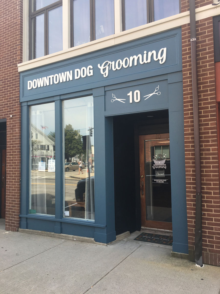 Dog shop store downtown