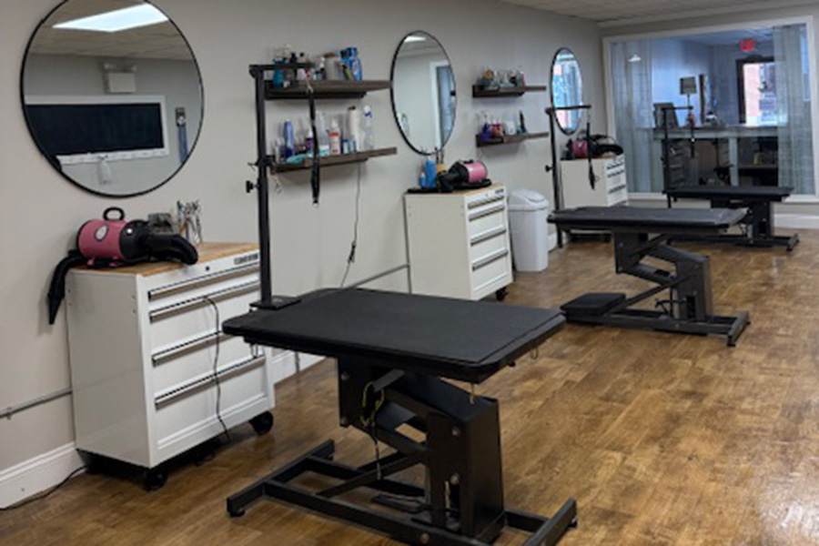 Downtown-Dog-Grooming-shop-photos-10