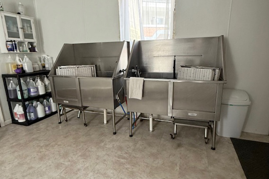 Downtown-Dog-Grooming-shop-photos-11