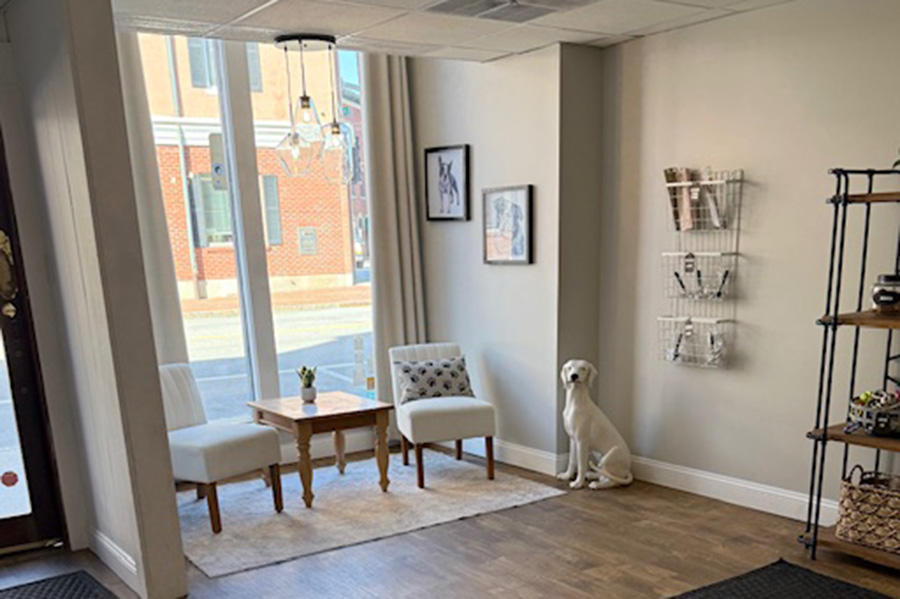Downtown-Dog-Grooming-shop-photos-8